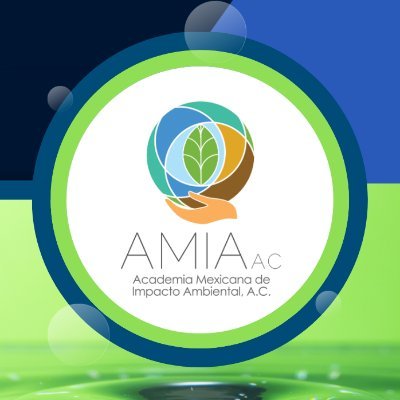 Academia Mexicana de Impacto Ambiental, A.C.