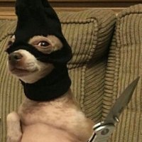 ydavko (@ydavko10629) 's Twitter Profile