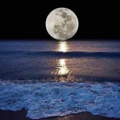 sanadaljeri's profile picture. مخافة الله سياسة كل عاقل