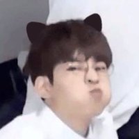 din 🐈⬛ (@wonwoobbuing) 's Twitter Profile