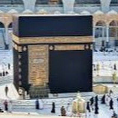 WaleedAlan39004's profile picture. 