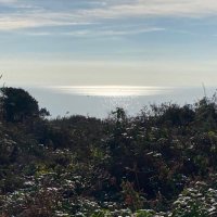 Matthew Clark (@matthew25088841) 's Twitter Profile Photo