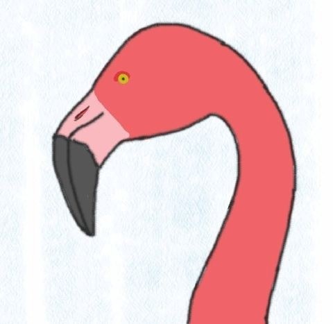 Landmines/armed violence person (strongly opposed, to be clear). Airport dweller. Flamingo. Director of Policy and Strategic Partnerships at MAG.