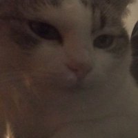 motera (@hbrsg_) 's Twitter Profile
