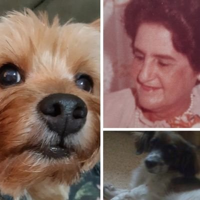 Dios. Madre de Ericsin. Animalista. Defensora de los principios de Integridad. Derechos Humanos. Consultora. MBA.