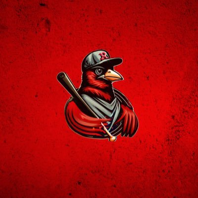 RedbirdRiot Profile Picture