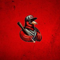 Redbirdriot(@RedbirdRiot) 's Twitter Profile Photo