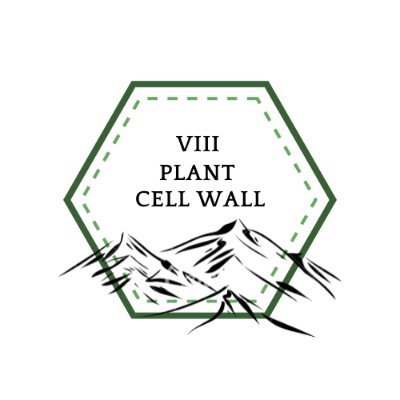 ☘️ 8th International Conference on Plant Cell Wall Biology 🌿

🗓️ June 17 to 21, 2024
Casona Las Condes Campus, UNAB
Santiago, Chile