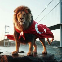 ÇAKIR RAMO (@ramo28264431) 's Twitter Profile