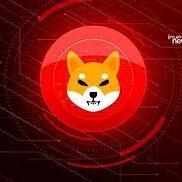 NNoleto24587's profile picture. Cryptoworld