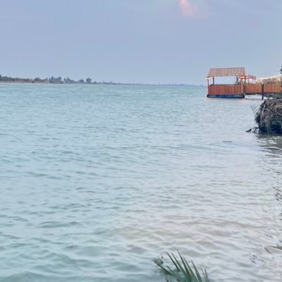 gsghegsfwjj's profile picture. 