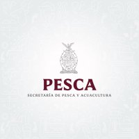 Secretaría de Pesca y Acuacultura de Sinaloa(@spyasinaloa) 's Twitter Profile Photo