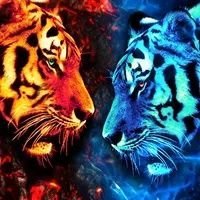 Maida Bashirian (@bashirianm33010) 's Twitter Profile