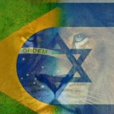 Patriota, conservador...,🇧🇷
Brasil acima de tudo!!!🇧🇷