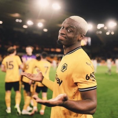 wolvesayewe1672's profile picture. 