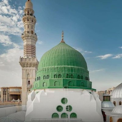 AliJ_palestine's profile picture. 