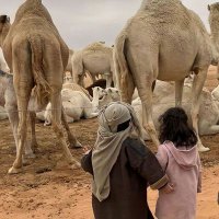 لَيـــــــانّ (@lyni_8) 's Twitter Profile