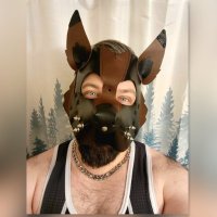 Bronk (@bronkpup) 's Twitter Profile