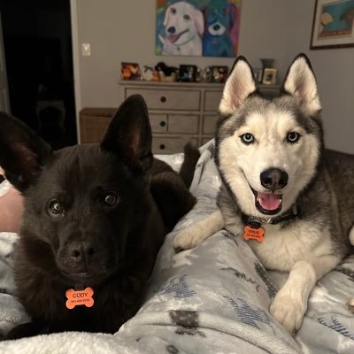 kippiec's profile picture. 