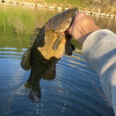 群馬の川スモールを中心 中学生アングラー 週5ぐらいの釣行頻度で行くぐらい釣りバカです。 お会いしたら気軽にお声がけください。