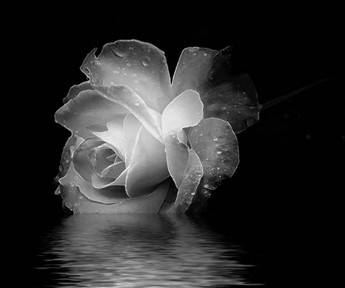 brown_tabitha's profile picture. 