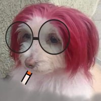 Rosa y Rojo{polish edition} (@pamali11) 's Twitter Profile