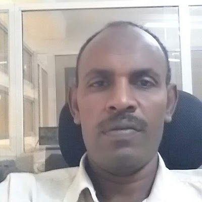 AlaaAljrafi's profile picture. 