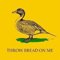 Almost Kevin 🇺🇸 👍 (@almostkevin) 's Twitter Profile