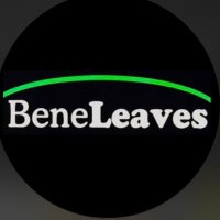 BeneLeaves(@BeneLeaves) 's Twitter Profile Photo