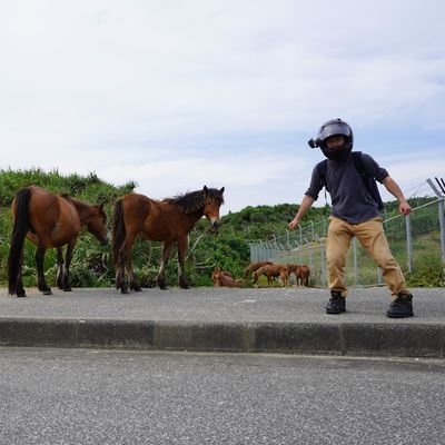 hare_minna's profile picture. Laravelでの受託開発で日々の気づきや学び、個人の学習を投稿していきたい。
資格学習や読書、AtCoderもやりたい