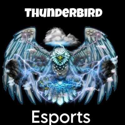 Pro esports team | Thunderbirdsgg@gmail.com for business inquiries about us