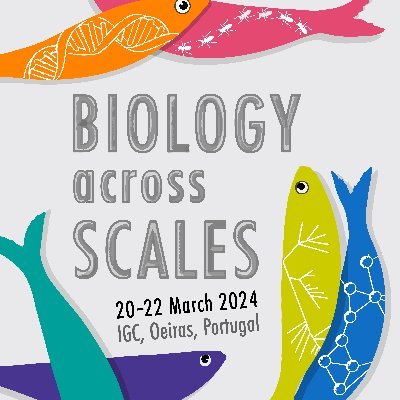 Mar 20-22, 2024 @IGCiencia 🇵🇹
#IGCSymposium2024 #BioScales2024