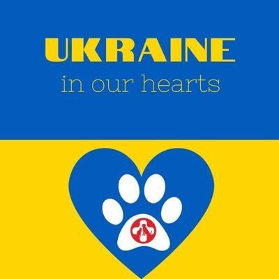 A Ukrainian charity set up with the aims of neutering in Kiev,? helping animals in danger and educating in the commities