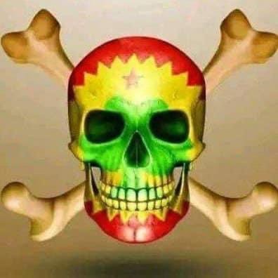 proud Amhara, fight for freedom