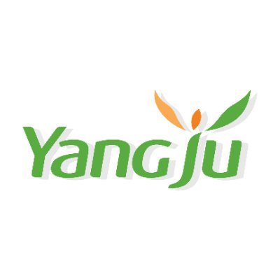 yangjuforever Profile Picture