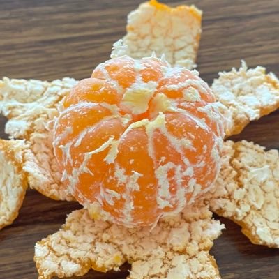 fx_ryuto's profile picture. 