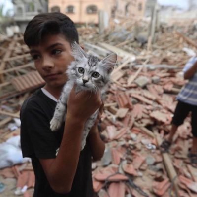 Gaza_Animals_Shelter is a charity animals shelter located in Gaza, Palestine,where we include homeless animals, provide medical care, sheltering & adoption🐕🐒