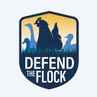 Defend the Flock (@defend_theflock) 's Twitter Profile Photo Defend the Flock (@defend_theflock) 's Twitter Profile Photo