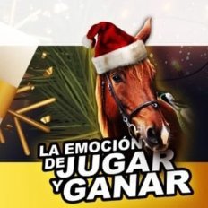 Jugar un buen cuadro del 5 y 6 💵🤑
Son 300 mil $ más el monto a repartir, para los cuadros con 6 ejemplares.
Los 300 mil $ son adicionales al monto a repartir