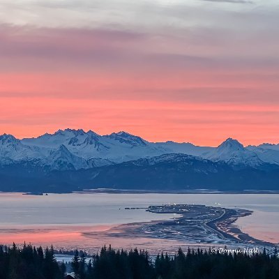 Living and Loving Life in beautiful Homer, Alaska.  Blogger and copyeditor.