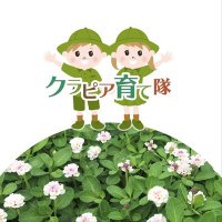 青帯 (@__hiromasa__) 's Twitter Profile