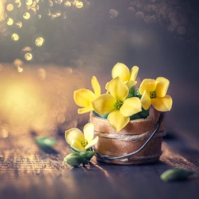 shsaii9's profile picture. 