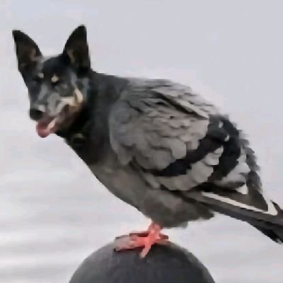 Alex1222m's profile picture. xd