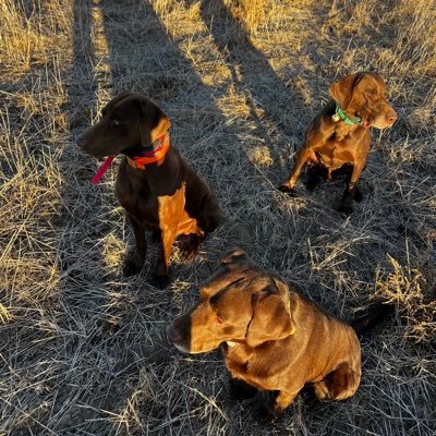 SchartzJm2371's profile picture. 