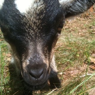 MWarnet's profile picture. 