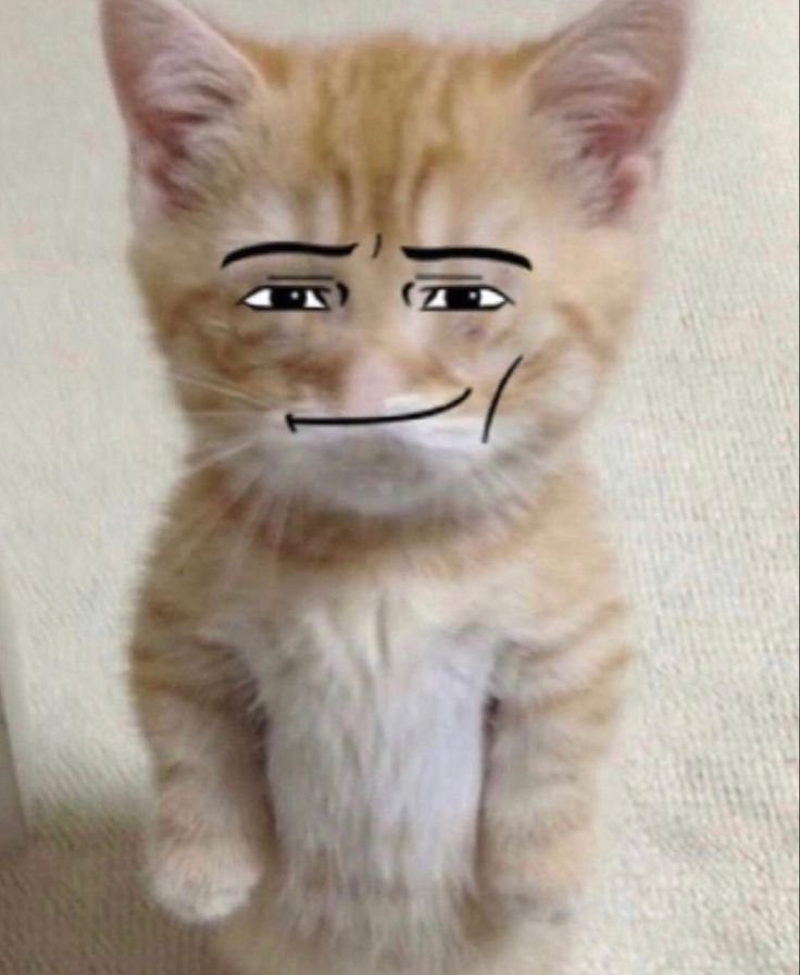 curlen294060's profile picture. The Legend is back ??ndc: fighter#2352