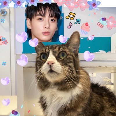 🇺🇸LA近郊在住 SevenからJungkook🐰からバンタン沼 Very new Army 色々教えて下さい💜+ Teayang, ENHYPEN, IMP.も♡フォローご自由に♪