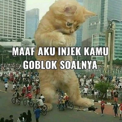 Dktaulah