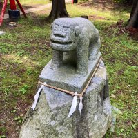 ムジナーニャ (@mujina1010moon) 's Twitter Profile