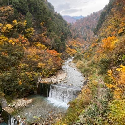 indigo_blue717's profile picture. Family, Baseball